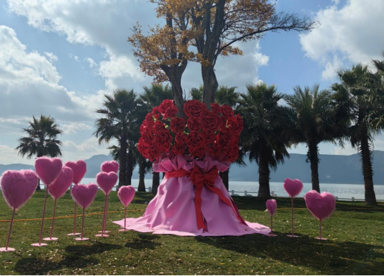 圖片關鍵詞 圖片關鍵詞