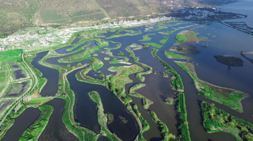 圖片關(guān)鍵詞 圖片關(guān)鍵詞