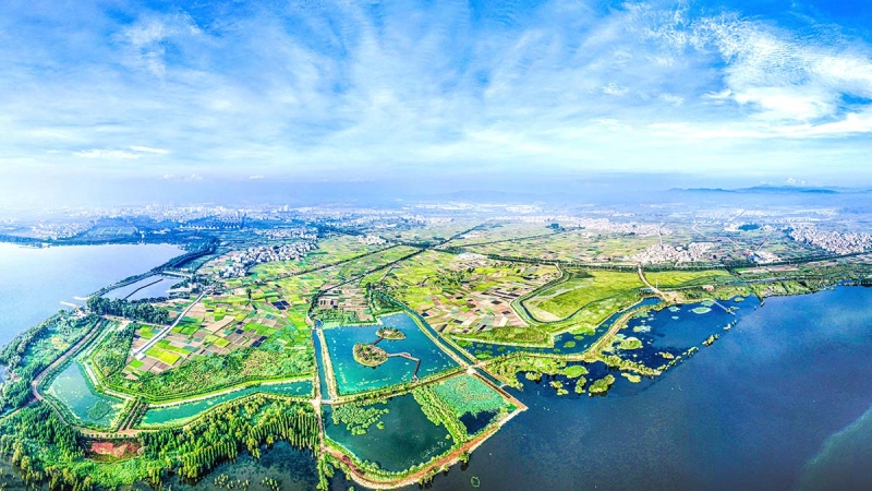 星云湖南岸濕地、湖濱帶提質改造工程