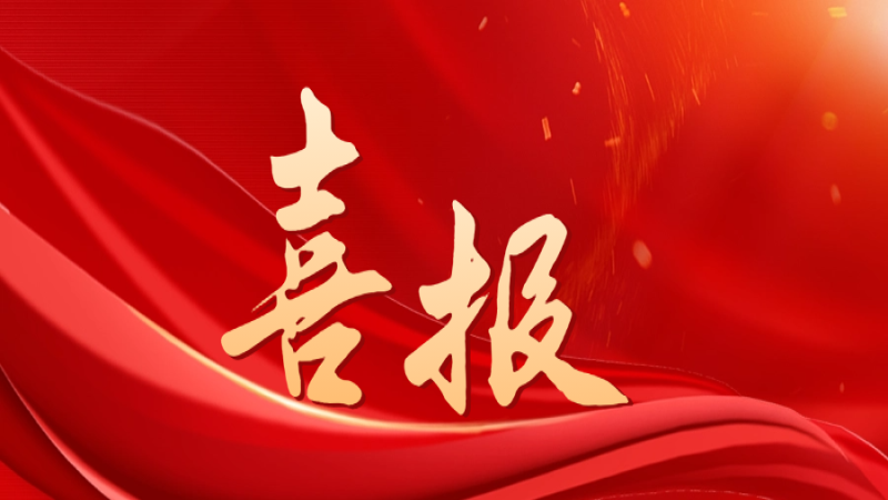 喜報！中機國際獲評中央企業“雙百行動”優秀企業