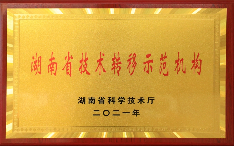 湖南省技術轉移示范機構